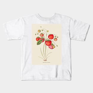 Strawberry Antique Botanical Illustration Kids T-Shirt